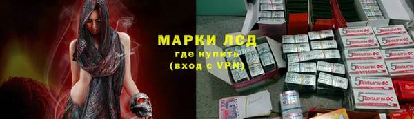ECSTASY Алзамай