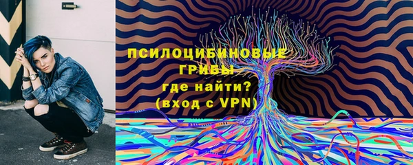 ECSTASY Алзамай
