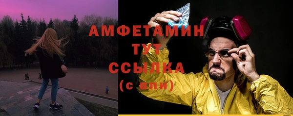 мет Алексин