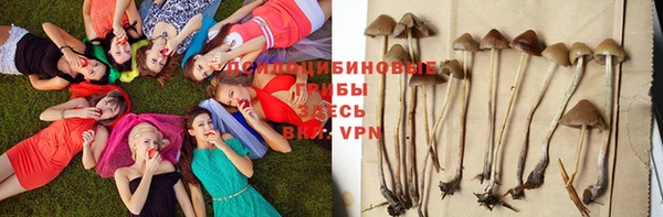 ECSTASY Алзамай