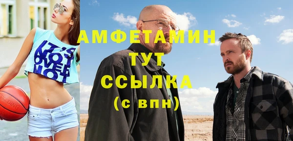 ECSTASY Алзамай