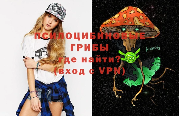 мет Алексин