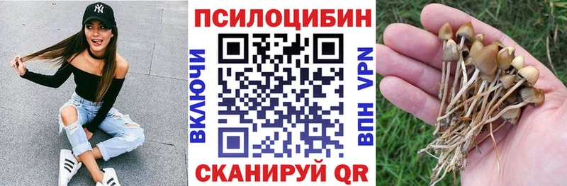 даркнет сайт  Сураж  blacksprut зеркало  Галлюциногенные грибы Psilocybe 