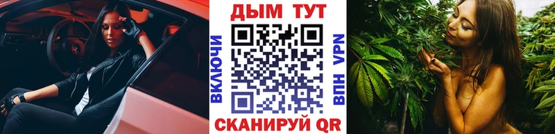 МЕГА ссылки  Сураж  Бошки марихуана сатива 